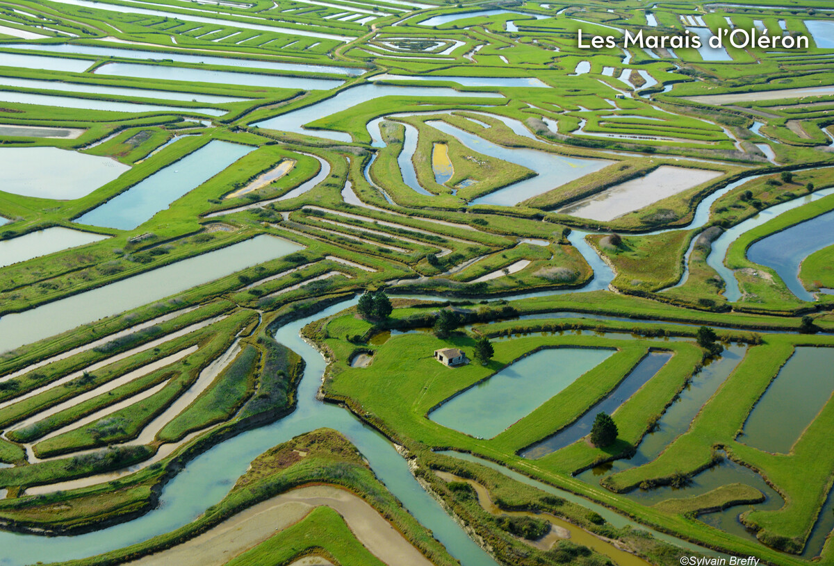 28_les_grosses_pierres_2025-88322938.jpg