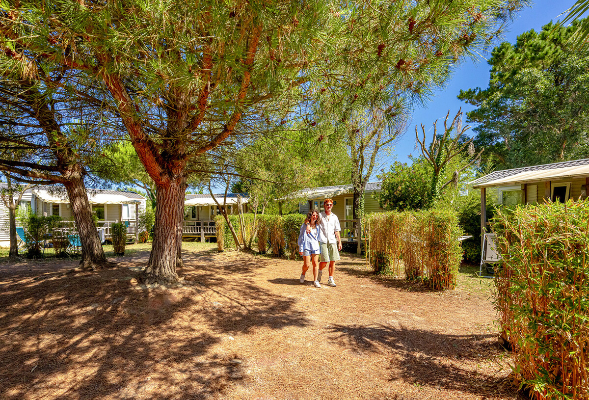 camping_grosses_pierres_2025_vo_39-99270669_0.jpg