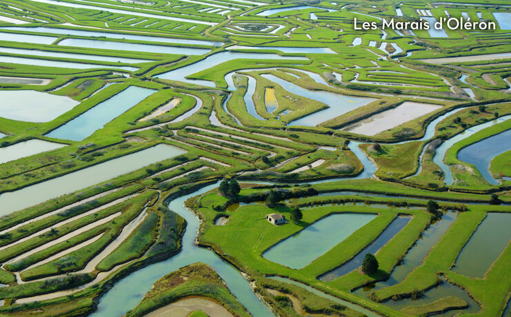 28_les_grosses_pierres_2025-88322938.jpg