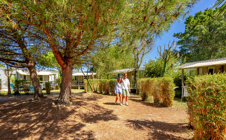 camping_grosses_pierres_2025_vo_39-99270669_0.jpg